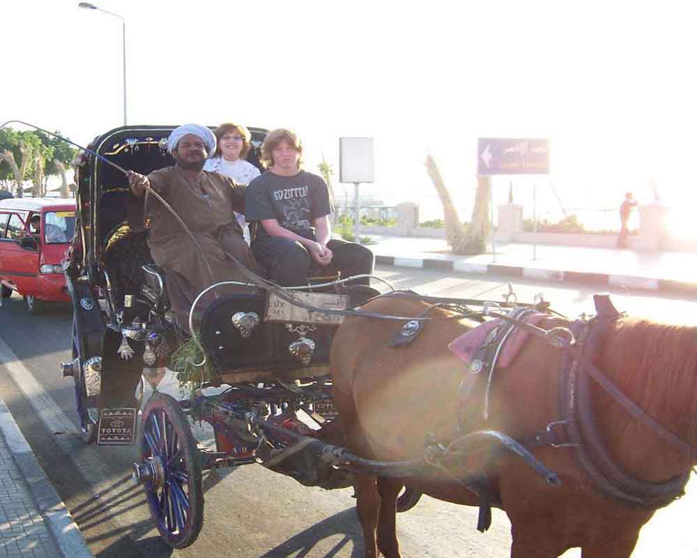 Luxor city tour- Horse Carriage