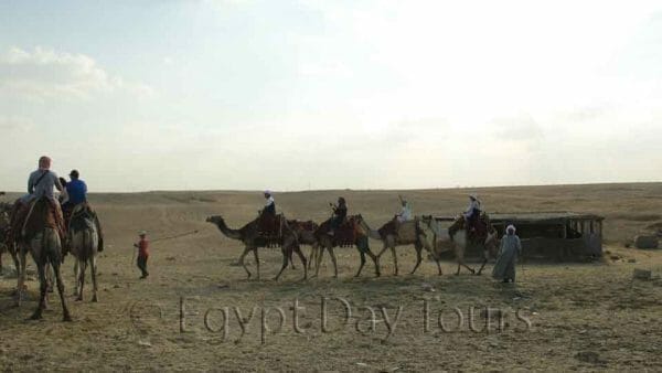 Camel ride in Sakkara