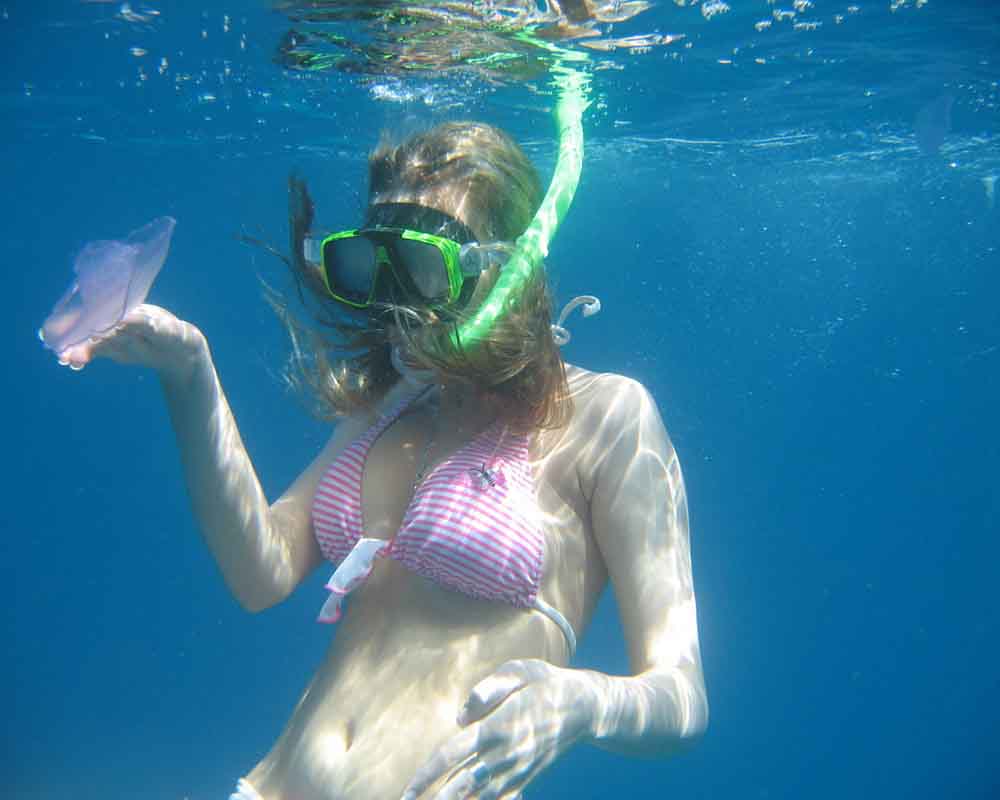 Snorkeling - Giftun Island